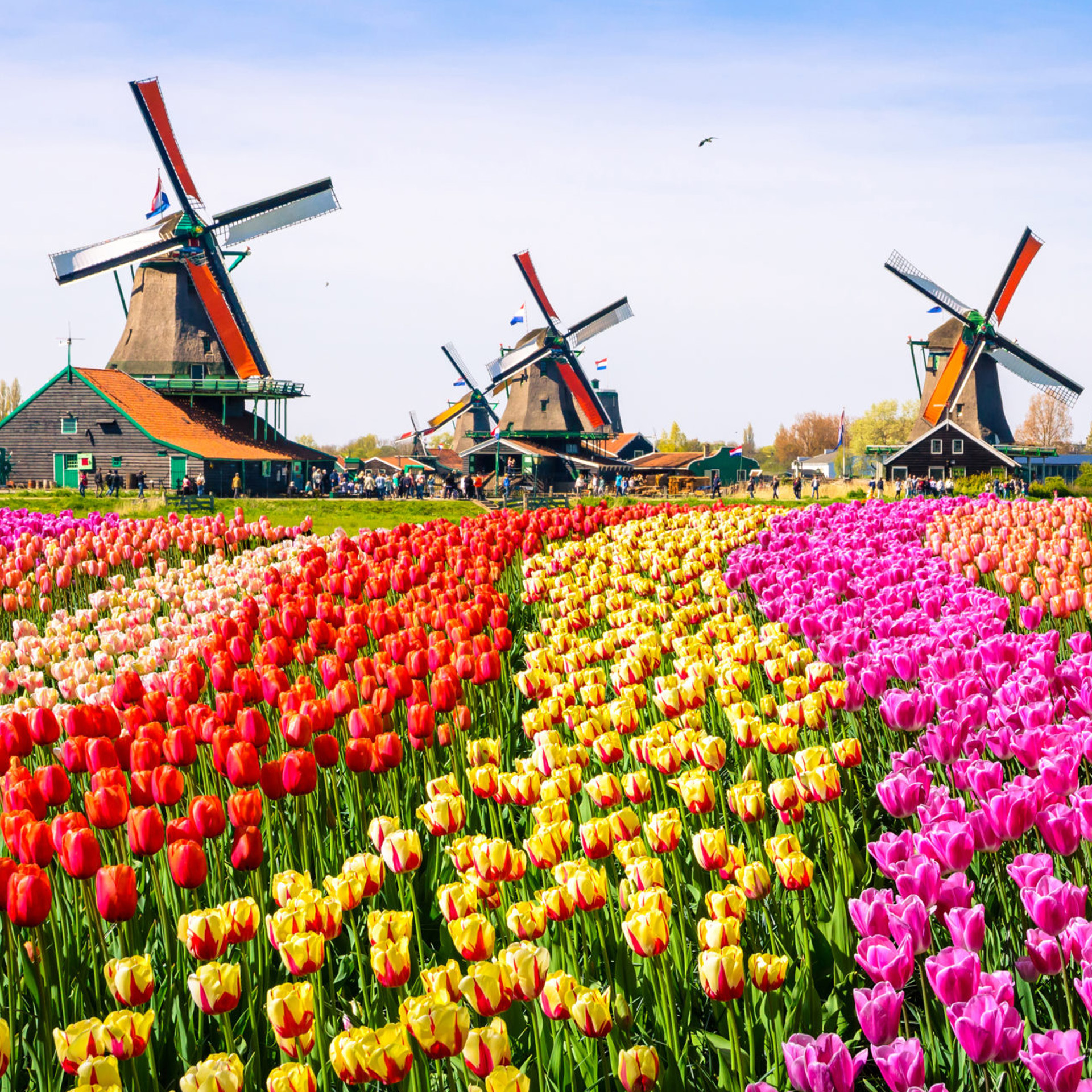 netherlands