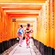 Fushimi Inari Taisha Famous for its thousands of red torii gates climbing into the hills.