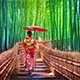 Arashiyama Bamboo Grove A dreamy path through towering bamboo, beloved by photographers worldwide.