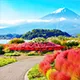 Lake Kawaguchi One of the most scenic lakes near Mt. Fuji, perfect for iconic photography.
