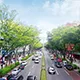 Omotesando A stylish boulevard known for luxury brands, elegant cafés, and cutting-edge modern architecture